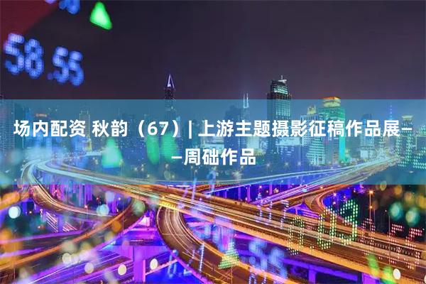 场内配资 秋韵（67）| 上游主题摄影征稿作品展——周础作品