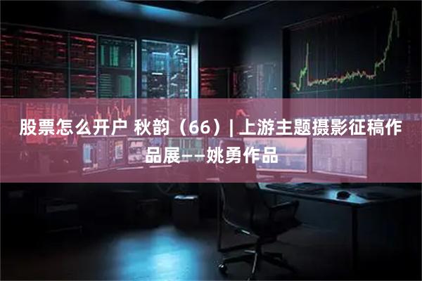 股票怎么开户 秋韵（66）| 上游主题摄影征稿作品展——姚勇作品