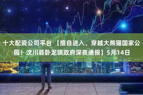 十大配资公司平台 【擅自进入、穿越大熊猫国家公园！汶川县卧龙镇政府深夜通报】5月14日