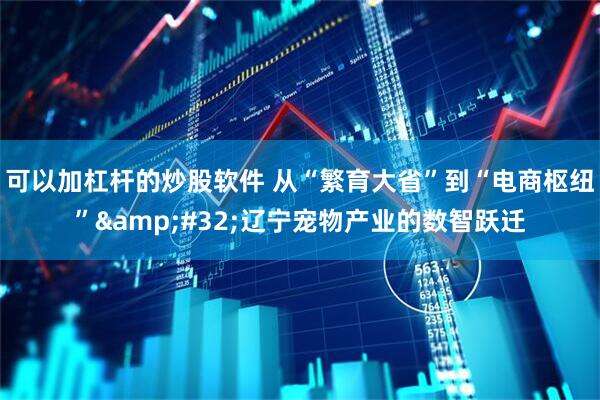 可以加杠杆的炒股软件 从“繁育大省”到“电商枢纽” 辽宁宠物产业的数智跃迁